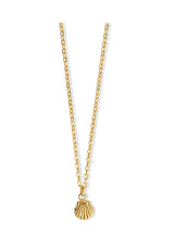 TACHA MINI SHELL NECKLACE