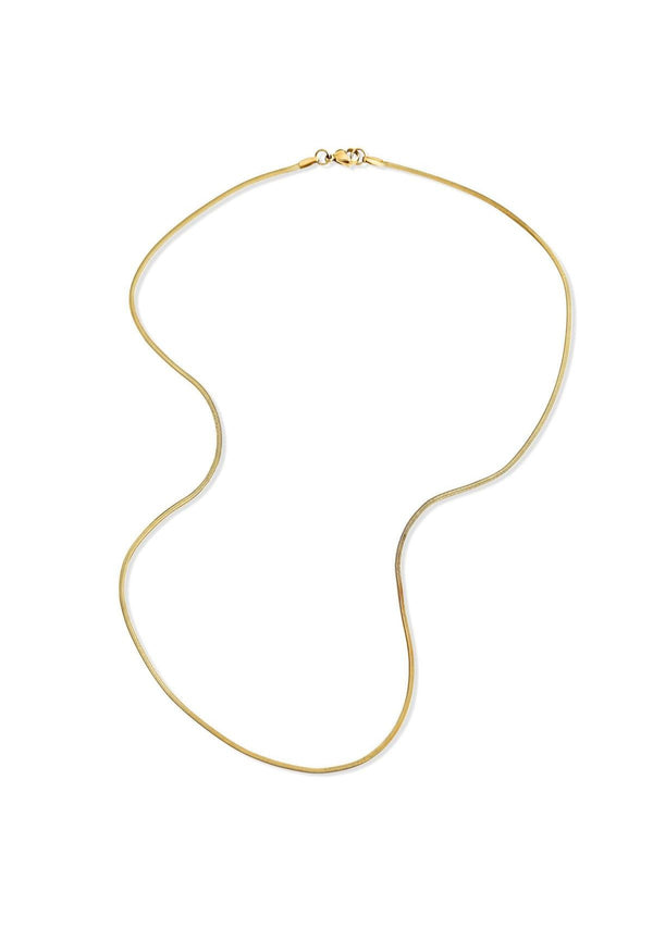 DESI HERRINGBONE CHAIN NECKLACE