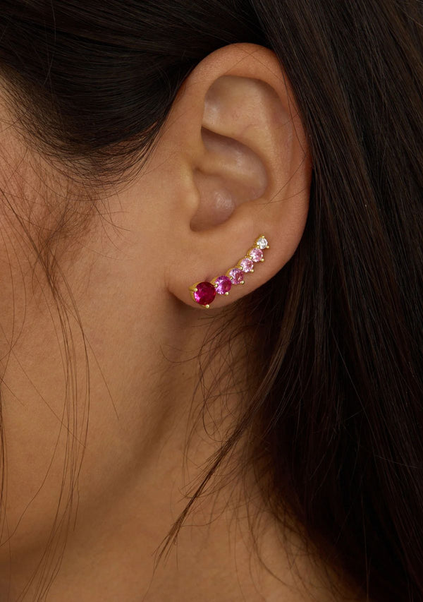 NOT YOUR BASIC OMBRE EAR CRAWLER