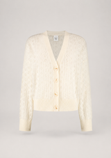 CARLI POINTELLE CARDI