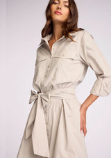 ASTERIN DRESS