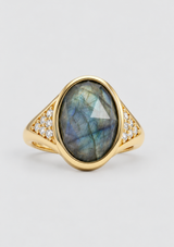 THE DAVID RING