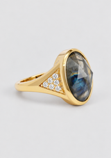 THE DAVID RING