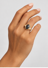THE DAVID RING
